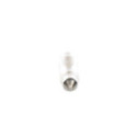 Bulb, interior light BOSCH 1 987 302 825
