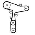 Veepump + hammasrihmakomplekt CONTINENTAL CTAM CT1168WP8PRO