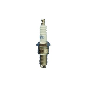 Süüteküünal SCT Germany AR53C