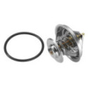 Termostaat,Jahutusvedelik BorgWarner (Wahler) 4105.83D