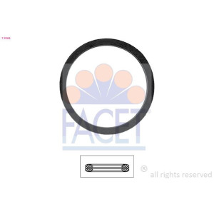 Tihend,termostaat FACET 7.9568