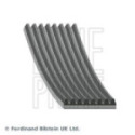 V-ribbed Belt BLUE PRINT AD08R1295