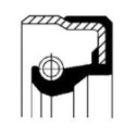 Shaft Seal, manual transmission CORTECO 12014739B