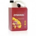 Suvine klaasipesuvedelik SUMMER FOREST FRUIT 5L DYNAMAX 502463
