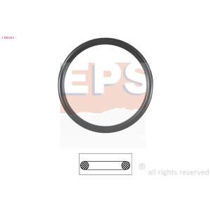 Seal, thermostat EPS 1.890.653
