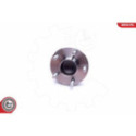 Комплект подшипника ступицы колеса ESEN SKV 29SKV407