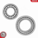 Wheel Bearing Kit ESEN SKV 85SKV063
