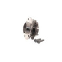Комплект подшипника ступицы колеса SKF VKBA 6669