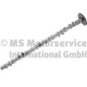 Camshaft BF 20100347102
