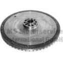 Flywheel BF 20090220661