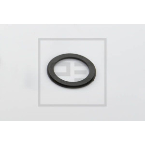 Distantsseib,hoovastik PE Automotive 016.153-00A