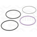 Gasket Set, cylinder liner ELRING 755.672