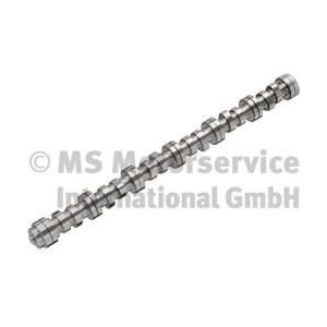 Camshaft BF 20100712008