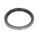 Seal Ring, steering knuckle BTA B06-2201