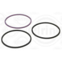 Gasket Set, cylinder liner ELRING 308.930