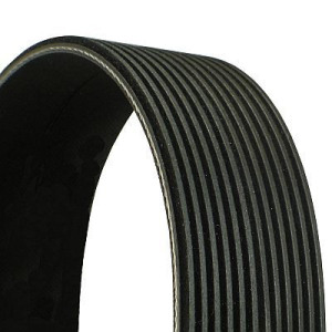 V-ribbed Belt CONTINENTAL CTAM 12PK1815