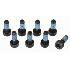 Kruvikomplekt,hooratas SACHS 1874 000 073