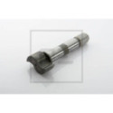 Brake Shaft, drum brake PE Automotive 016.150-00A