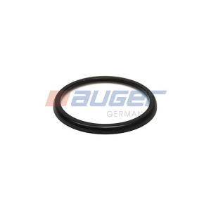 Wear Plate, leaf spring AUGER 56655