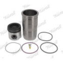 Repair Kit, piston/cylinder liner NÜRAL 89-123200-10