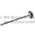 Camshaft BF 20100228760