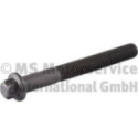 Cylinder Head Bolt BF 20080520138
