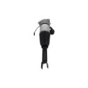Air Suspension Strut KAMOKA 2070077