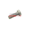 Bolt, brake disc FAST FT30601