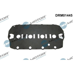 Прокладка, крышка головки цилиндра Dr.Motor Automotive DRM01445