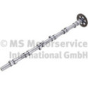 Camshaft BF 20100347106