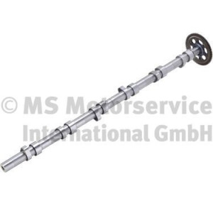 Nukkv&otilde;ll BF 20100347106