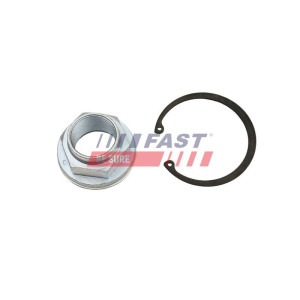 Nut, kingpin FAST FT26031