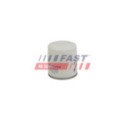 Oil Filter FAST FT38008