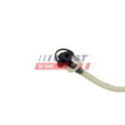 Fuel Line FAST FT39591