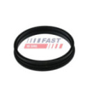 Seal, fuel tank FAST FT48505