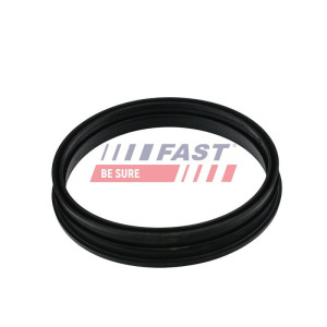 Seal, fuel tank FAST FT48505
