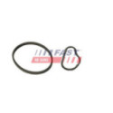 Gasket, vacuum pump FAST FT48943