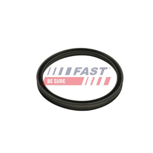 Уплотнительное кольцо, трубка нагнетаемого воздуха FAST FT48947