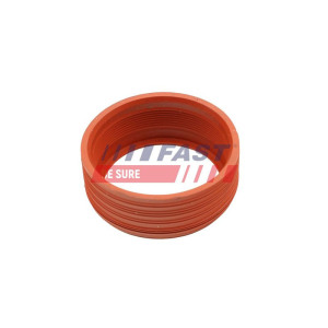 Seal Ring, air filter housing intake hose FAST FT48948