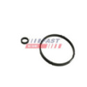 Gasket, oil cooler FAST FT48952