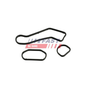 Seal Ring, oil cooler (lubrication) FAST FT48960
