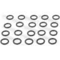 Seal Ring, injector FEBEST MZCP-001-PCS20