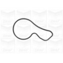 Water Pump, engine cooling GRAF PA1092