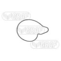 Water Pump, engine cooling GRAF PA1226