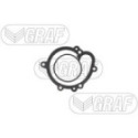 Водяной насос, охлаждение двигателя GRAF PA1456