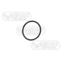 Water Pump, engine cooling GRAF PA765