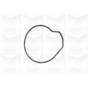 Water Pump, engine cooling GRAF PA855