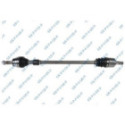 Drive Shaft GSP 204373