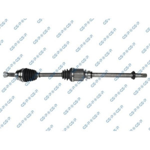 Vetoakseli GSP 217019