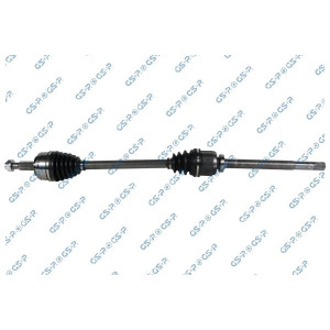 Vetoakseli GSP 218248